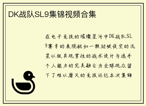 DK战队SL9集锦视频合集