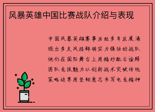 风暴英雄中国比赛战队介绍与表现